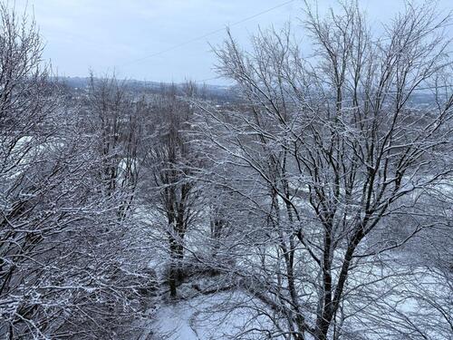 Foto - 3 Zimmer Etagenwohnung in Wuppertal