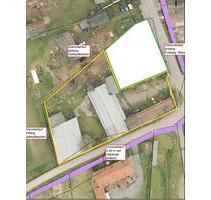 Betriebshof mit 3250qm Grundstück, 3 Hallen und 1 Wohnhaus. - Wurzen