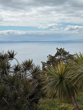 Foto - Tolles Haus mit Meerblick auf Madeira zu vermieten