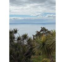 Tolles Haus mit Meerblick auf Madeira zu vermieten - Trier Kürenz