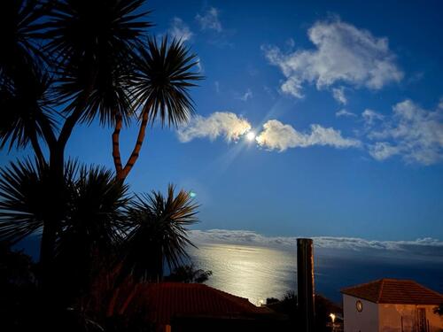 Foto - 3 Zimmer Einfamilienhaus zur Miete in Trier