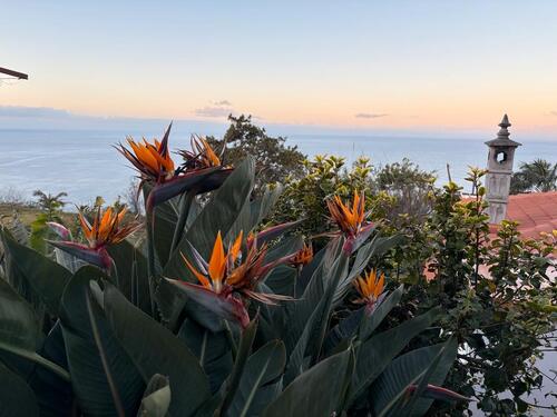 Foto - 3 Zimmer Einfamilienhaus in Trier