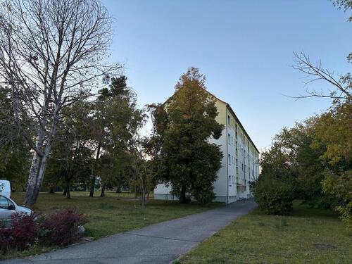 Foto - Etagenwohnung zur Miete in Lauta