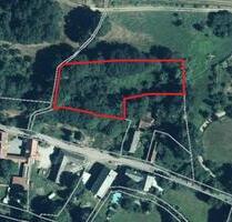 13 Hektar Pachtland Weide 3345qm in 04758 Oschatz Thalheim Saalh