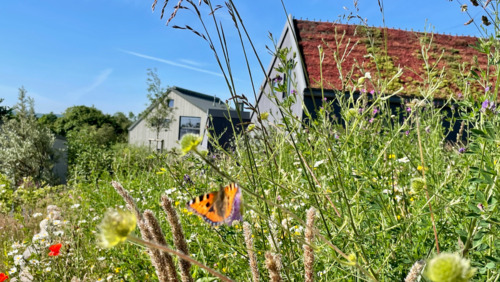 Foto - Wohnprojekt am Meer: Haus mit 810 qm Grundstück am Ostsee-Strand