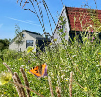 Wohnprojekt am Meer: Haus mit 810 qm Grundstück am Ostsee-Strand - Gägelow