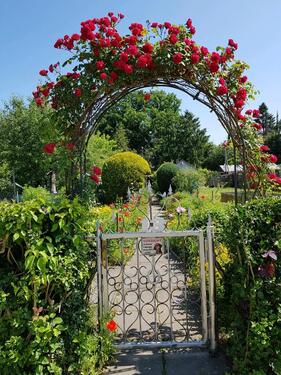 Foto - Schrebergarten Helentorgebiet - 5.000,00&nbsp;EUR Kaltmiete, ca.&nbsp; 0,00&nbsp;m&sup2;