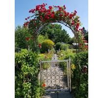 Schrebergarten Helentorgebiet - 5.000,00&nbsp;EUR Kaltmiete, ca.&nbsp; 0,00&nbsp;m&sup2; in Celle (PLZ: 29223) Altenhagen