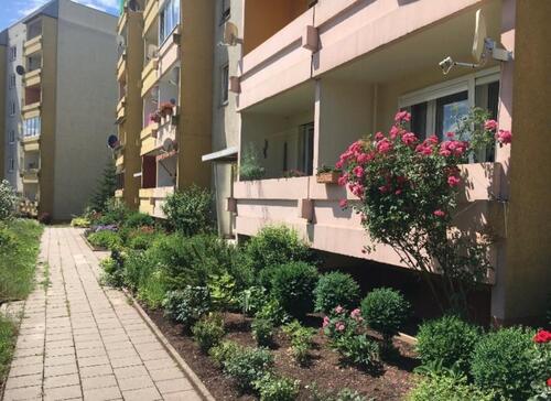 Foto - Sehr schöne 1 Raumwohnung Parterre Artern zu vermieten.