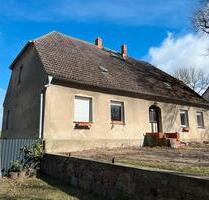 Charmantes Bauernhaus mit großem Grundstück & viel Potenzial - Penkun