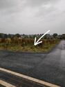 Foto - Grundstück in Haltern am See