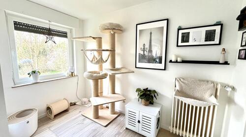 Foto - 2 Zimmer Erdgeschoßwohnung in Duisburg