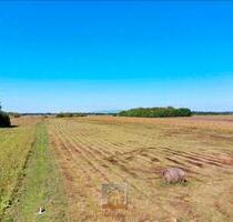 Bauland Grundstücke - 16,00&nbsp;EUR Kaltmiete, ca.&nbsp; 0,00&nbsp;m&sup2; in Lahr (Schwarzwald) (PLZ: 77933)