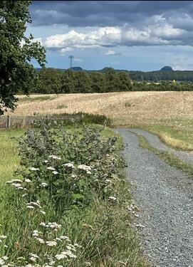 Foto - EFH mit Weitblick nahe Barockgarten Großsedlitz