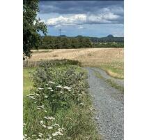 EFH mit Weitblick nahe Barockgarten Großsedlitz - Heidenau