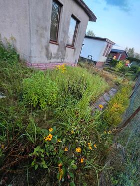 Foto - Garten (Kleingarten) 300qm - 500,00&nbsp;EUR Kaltmiete, ca.&nbsp; 0,00&nbsp;m&sup2;