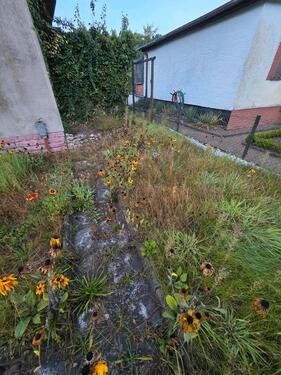 Foto - Grundst&uuml;ck in Schwerin