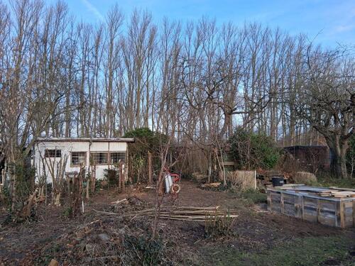 Foto - RESERVIERT Kleingarten an der Wakenitz (mit VIEL ARBEIT!)