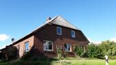 Foto - Resthof mit 3 ha in Kollmar - 250.000,00 EUR Kaufpreis,