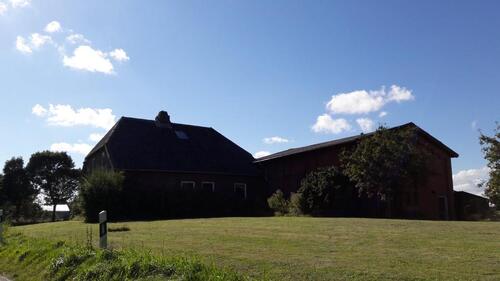 Foto - Einfamilienhaus zum Kaufen in Kollmar
