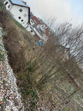 Foto - Einfamilienhaus zum Kaufen in Langenhahn