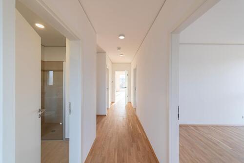 Foto - Etagenwohnung in Halle (Saale) zur Miete