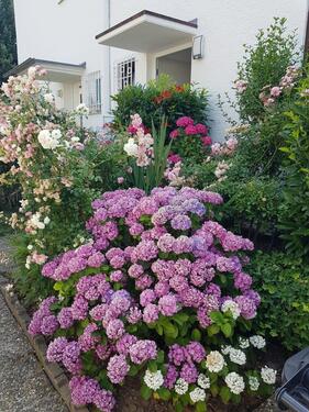 Foto - sonnige,familienfreundliche DHH in FreibergN.