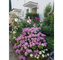 sonnige,familienfreundliche DHH in FreibergN. - Freiberg am Neckar