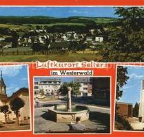 4 ZKBB mit großem GartenObstbäumen + Rasen in Selters - Selters (Westerwald)