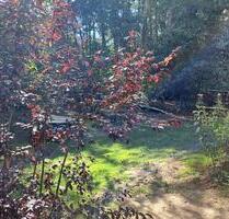 Eigentumswohnungen u. Doppelhaushälften in Handeloh zu verkaufen