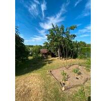 Kleingarten 500m² Pachtgarten KGV Garten - Erfurt Hochheim