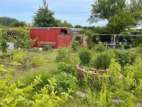 Foto - Garten in der Gartenanlage Gedser - bei Bedarf auch nahe Garage