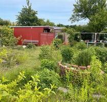 Garten in der Gartenanlage Gedser - bei Bedarf auch nahe Garage - Elmenhorst/Lichtenhagen