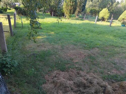 Foto - Garten im Auftrag zu vermieten - 80,00 EUR Kaltmiete, ca.  0,00 m²