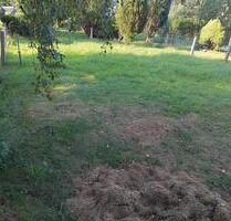 Garten im Auftrag zu vermieten - 80,00 EUR Kaltmiete, ca.  0,00 m² in Pockau-Lengefeld (PLZ: 09509) Nennigmühle