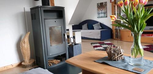 Foto - Ferienwohnung Harzfire mit Kamin Balkon Hund Bad Harzburg Harz