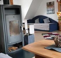 Ferienwohnung Harzfire mit Kamin Balkon Hund Bad Harzburg Harz