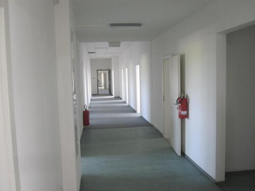 Foto - andere in Merseburg