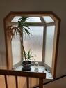 Foto - Kleines Einfamilienhaus ohne Garten aber mit viel Charme