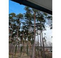 Urlaub in Bad Saarow 3min zum Strand mit Kindern und Hund