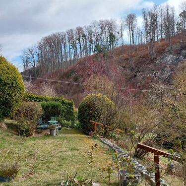 Foto - Grundst&uuml;ck zur Miete in Nordhausen