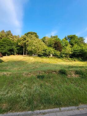 Foto - Einfamilienhaus in Beckingen