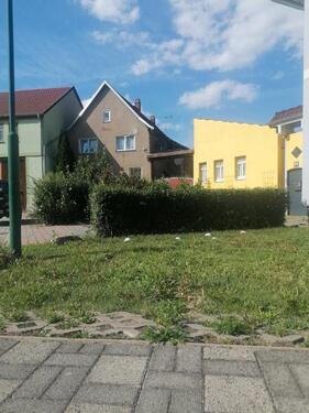 Foto - 5 Zimmer Einfamilienhaus zum Kaufen in Sömmerda