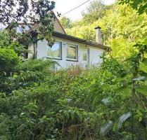 Heringen: Waldhaus inmitten der Natur – Ruhe und Privatsphäre pur - Heringen/Helme
