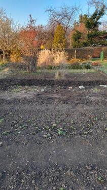 Foto - Grundst&uuml;ck in Erfurt