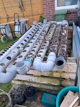 Foto - Grundst&uuml;ck zur Miete in Kalkar