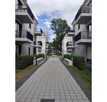 1-Raumwohnung in Potsdam Waldstadt 2 - Wentzel Dr. -