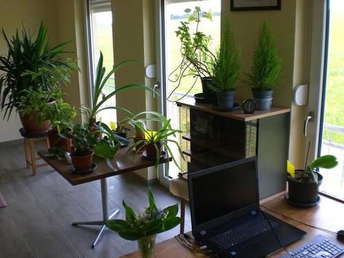 Foto - Einfamilienhaus in Elsterberg zum Kaufen