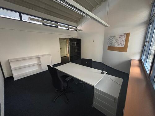 Foto - andere in Dresden