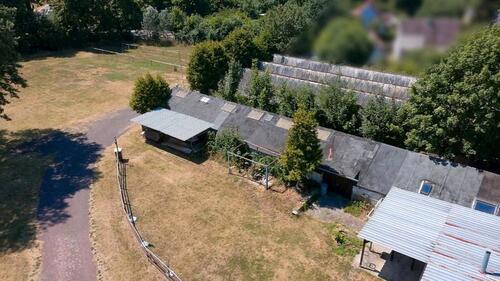 Foto - Einfamilienhaus in Gommern zum Kaufen